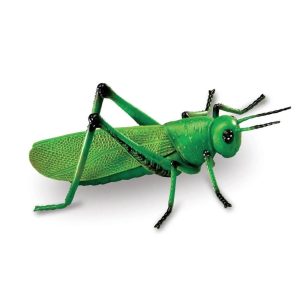 Insectos Figuras Educativas - Apegotienda